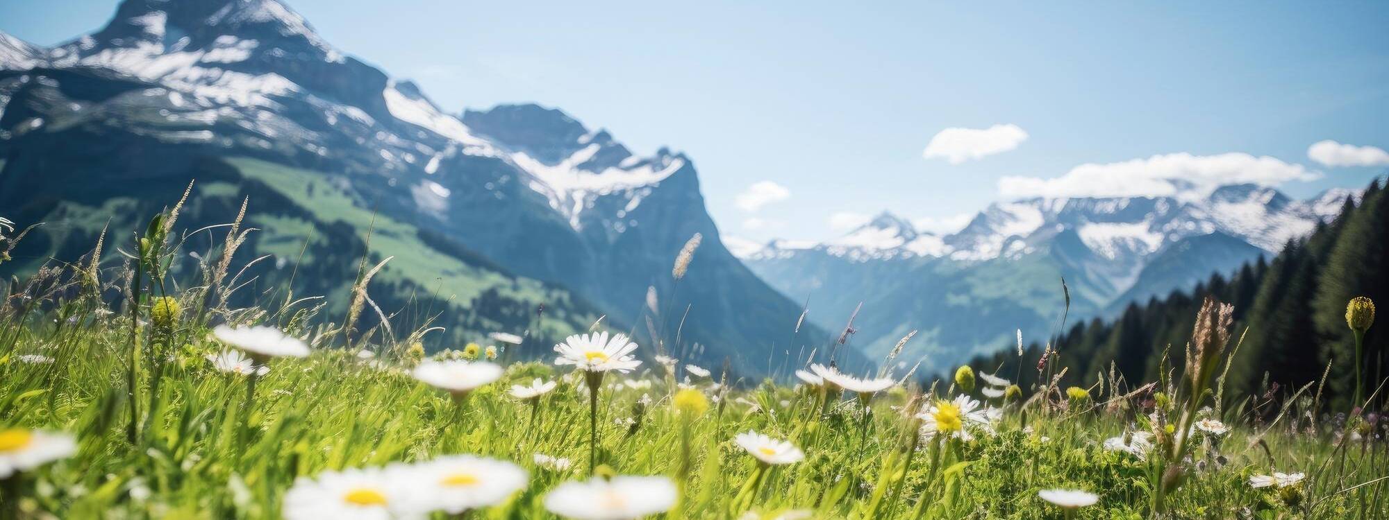 Sommerurlaub - Ötztal