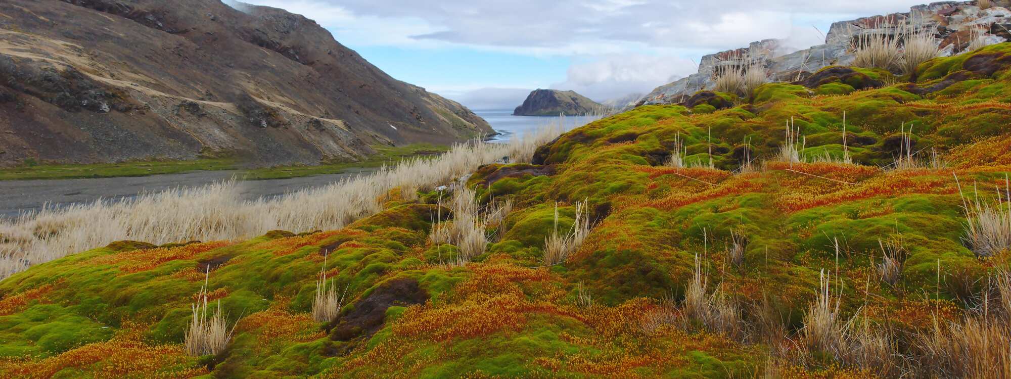 Südgeorgien - ein wunderschöne Landschaft in der Antarktis